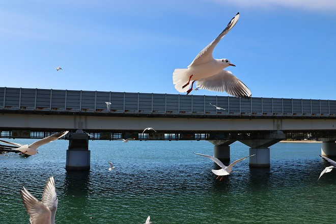 トップ画像。クリックで過去のトップ画像へ。